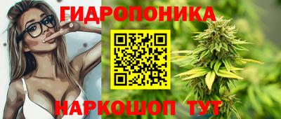 крисы Гай
