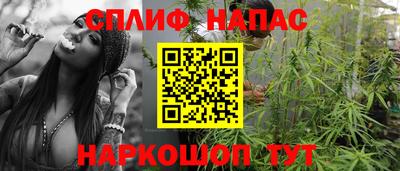 крисы Гай