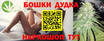 крисы Гай