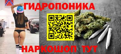 крисы Гай