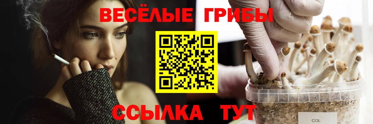 Псилоцибиновые грибы прущие грибы Нальчик